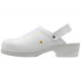 FILE WHITE